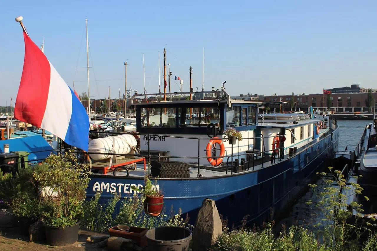 Boat & Breakfast Alhena Bed & Breakfast Amsterdam Hollanda